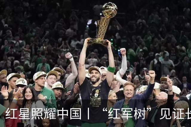 红星照耀中国丨“红军树”见证长征路