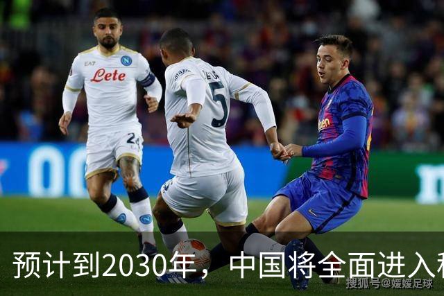 预计到2030年,中国将全面进入租房时代,房子会越来越难卖